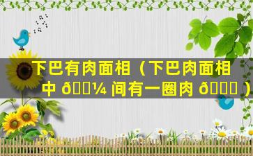 下巴有肉面相（下巴肉面相中 🐼 间有一圈肉 🐟 ）